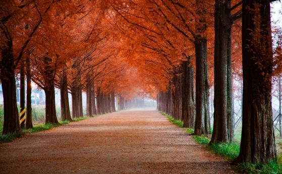 През деня ще е предимно слънчево Ще продължи да духа