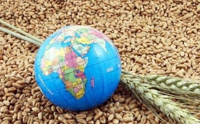 Цените на зърнените стоки по световните борси се движат разнопосочно през седмицата,