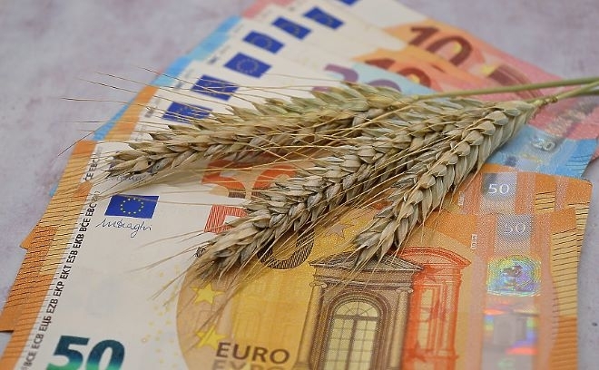 Промените в цените на основните зърнени стоки на световните борсови