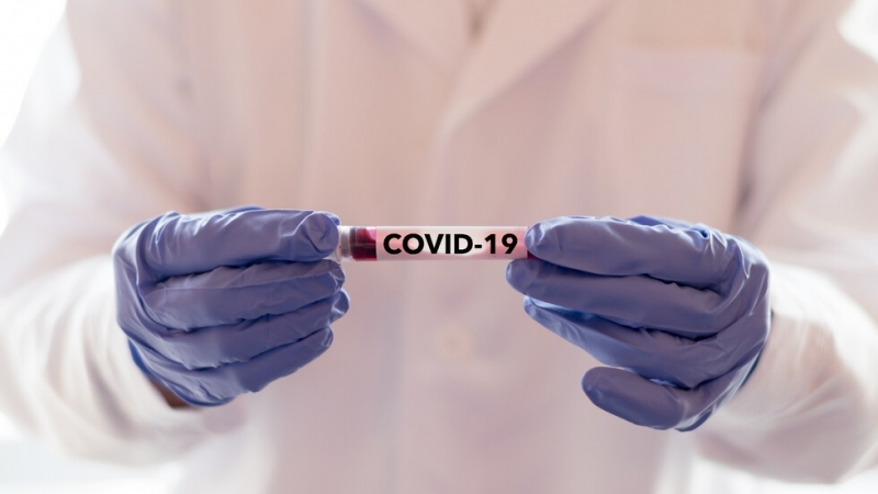 1070 са новодиагностицираните с коронавирусна инфекция лица през изминалите 24