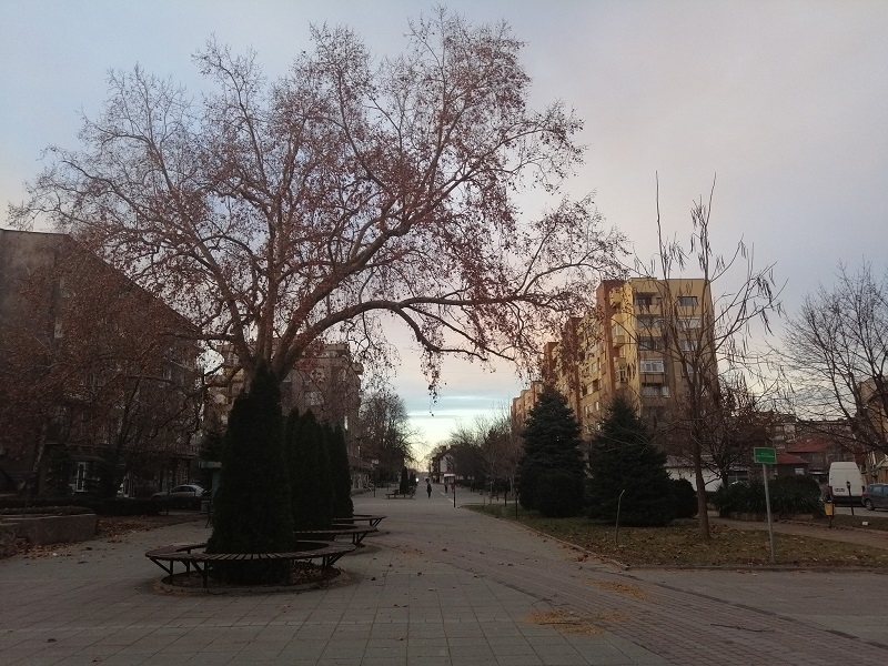 Утре в Лом са организирани прояви за 14 февруари Местната