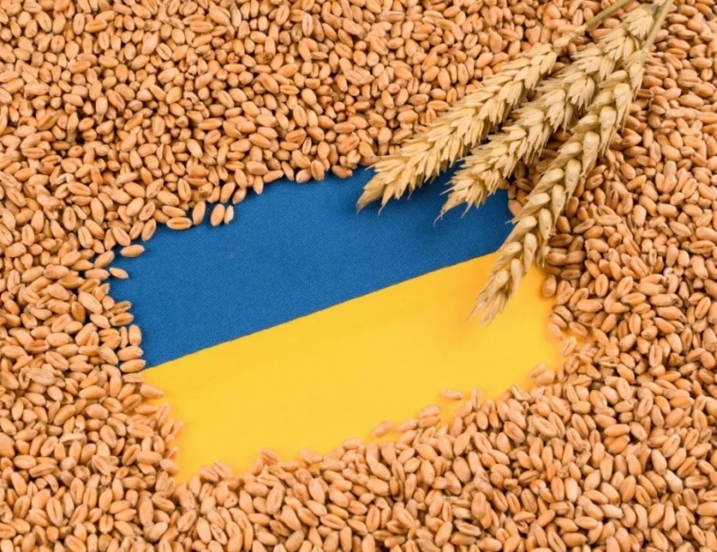 Депутатите решиха да свалят забраната за внос на пшеница от