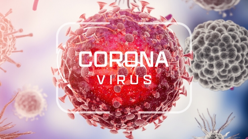 2774 са новодиагностицираните с коронавирусна инфекция лица през изминалите 24 часа