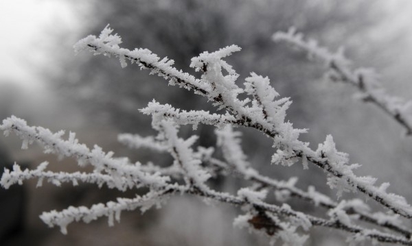 Днес преди обяд ще е почти тихо След обяд в