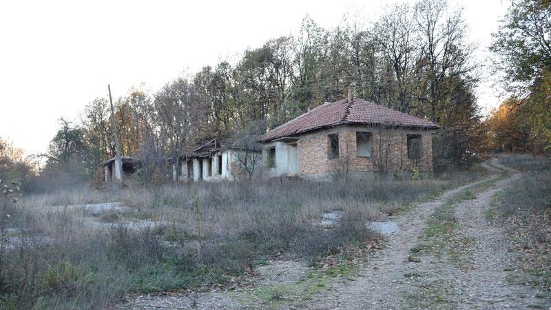 Осем иракчани задържани при опит за незаконно преминаване на държавната