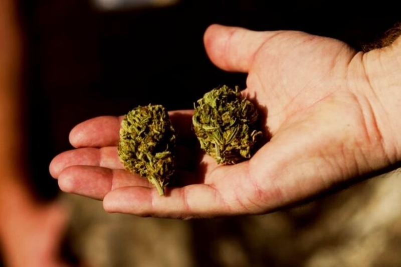 Заловиха малолетен с канабис в Козлодуй съобщиха от МВР във