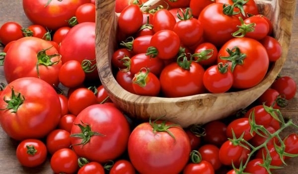 Без значение какво казват италианците най вкусните домати са на Балканите