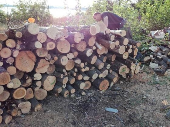 При проверка: Намериха незаконни дърва в къщи във Врачанско, удариха с актове собствениците им
