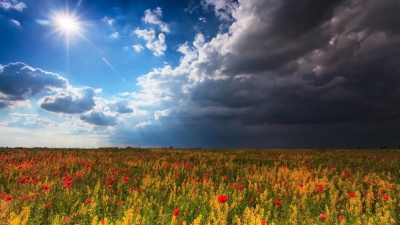 Сутринта ще бъде предимно слънчево По значителна ще е облачността главно