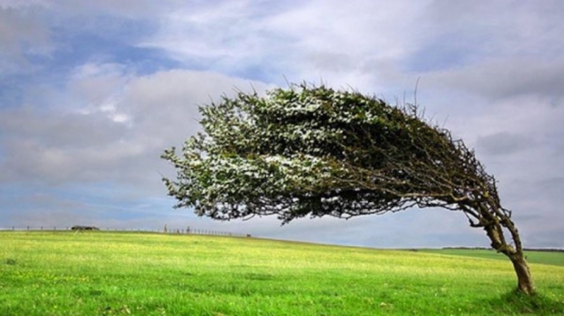 Жълт код за силен вятър е обявен утре за Враца