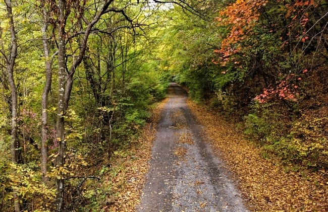 Днес ще преобладава слънчево време По значителни временни увеличения на облачността