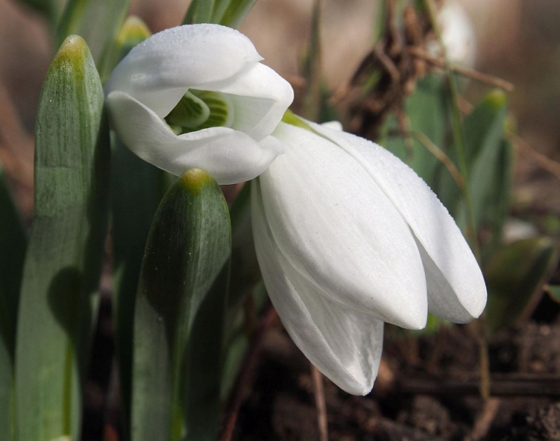 Във вторник сутринта по значителна ще е облачността над Западна България