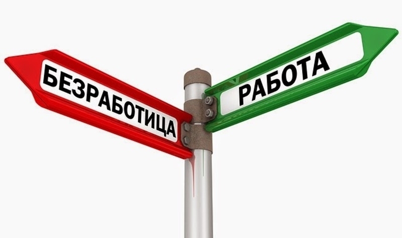 Вижте какви свободни работни местна има в област Видин