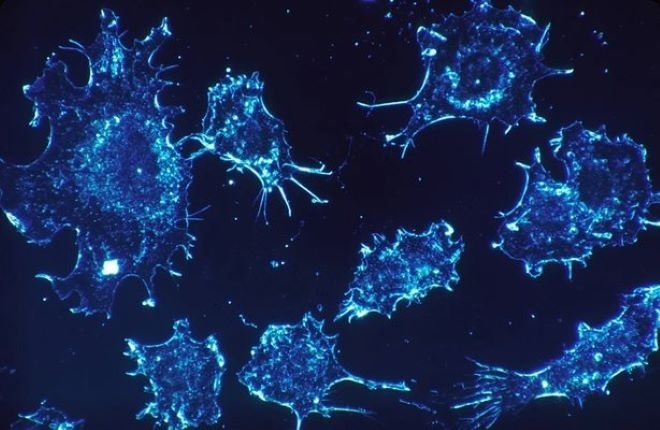 Комбинирайки открития в областта на имунологията на рака със сложно