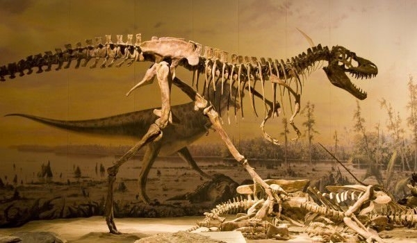 Американски учени мислят, че динозаврите може да са изчезнали заради
