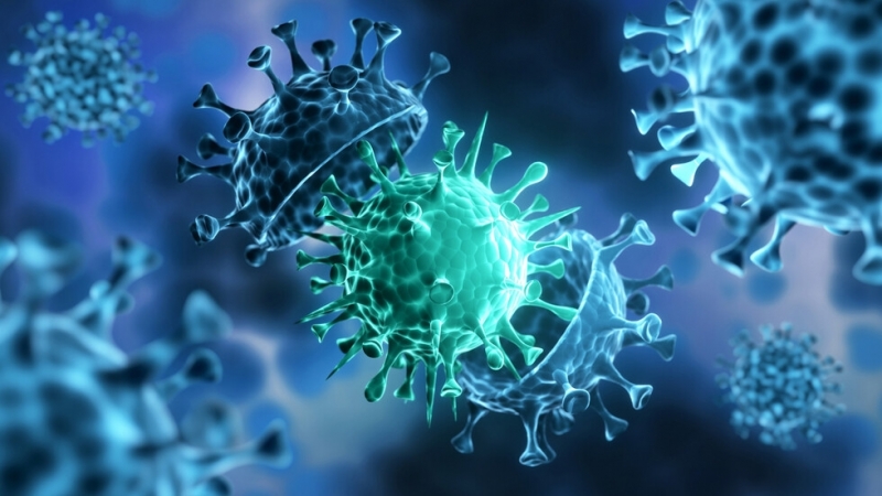 На основание на Закона за здравето Главният държавен здравен инспектор