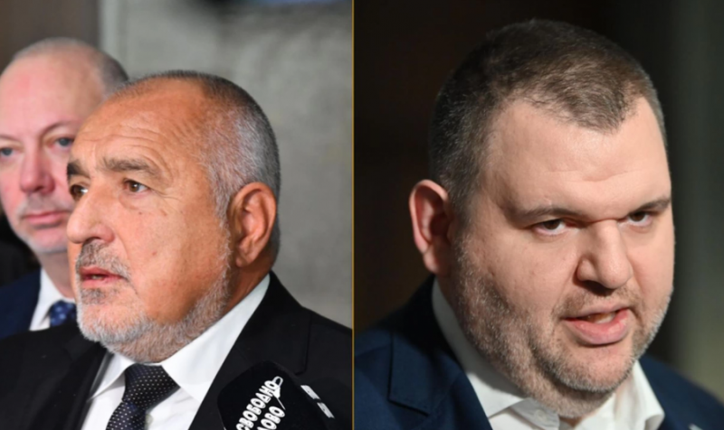 Между Пеевски и Борисов предстои развод Това заяви социологът Юрий Асланов