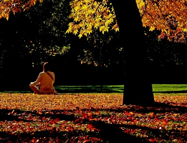 Днес в Централна и Източна България ще бъде предимно слънчево