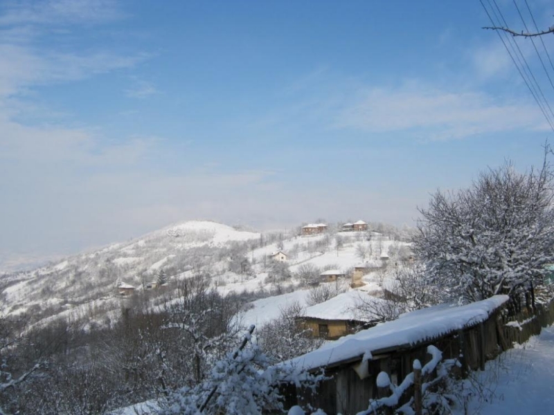 Трагедия разтърси Мездренско вчера научи BulNews bg Самотно живеещ мъж от