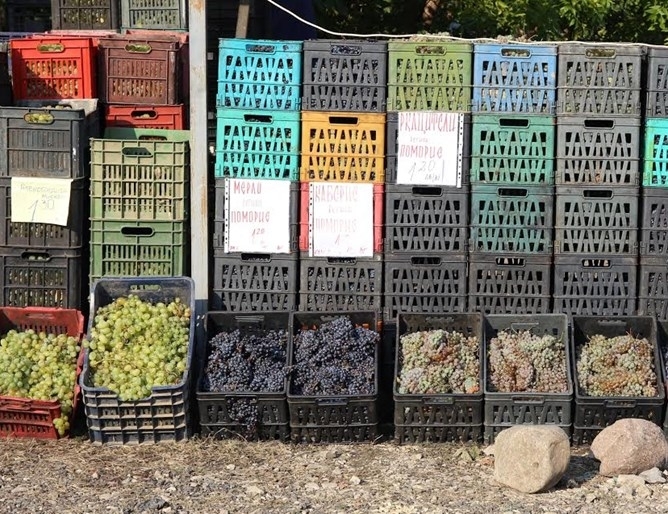 Полицаи от Монтана заловиха двама апаши задигнали в сряда 2