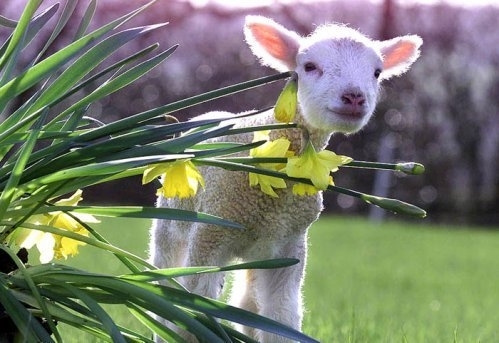 През нощта ще бъде предимно ясно и почти тихо Над