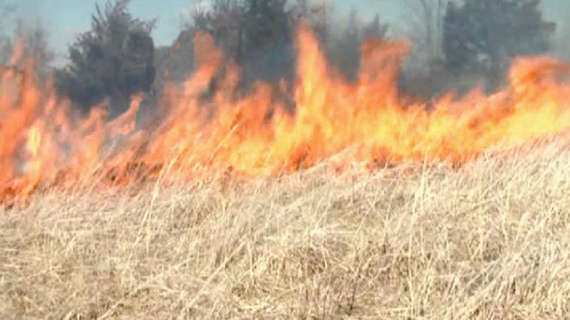 Пожар е унищожил 600 декара пшеница в землището на с.