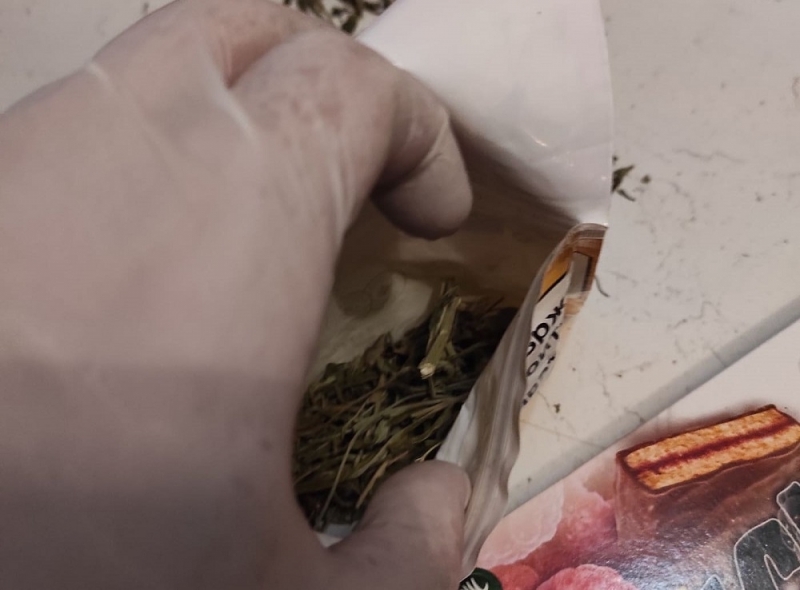 Удар на полицията! Намериха различни видове дрога в два апартамента във Враца, има задържани