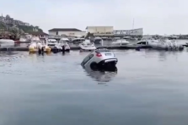 Нов куриоз по Черноморието развесели туристи и местни в Свети