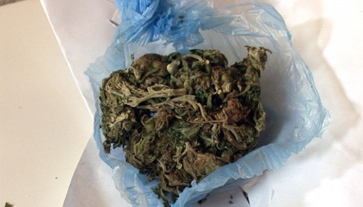 74 годишна баба беше обвинена в притежание на канабис от сина