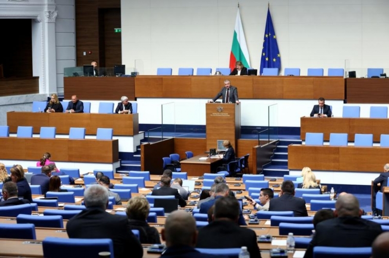 Народната избраничка от ДПС ДПС Ваня Василева напуска парламентарната група и става независим