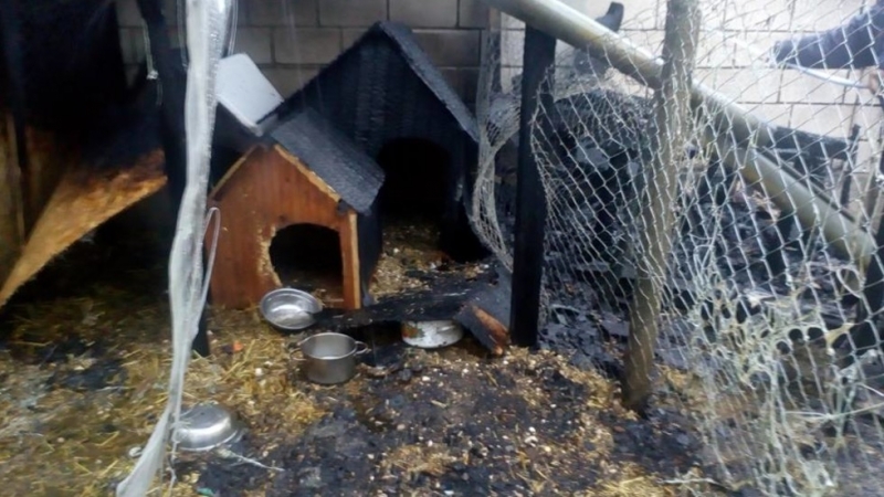 Районната прокуратура във Варна започна досъдебно производство за палеж на