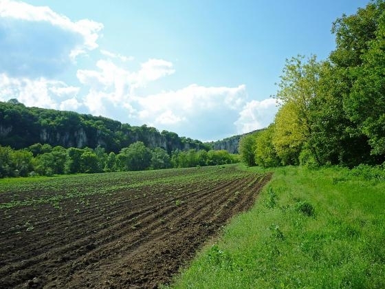Унищожиха реколтата на земеделец от Врачанско съобщиха от полицията Случката