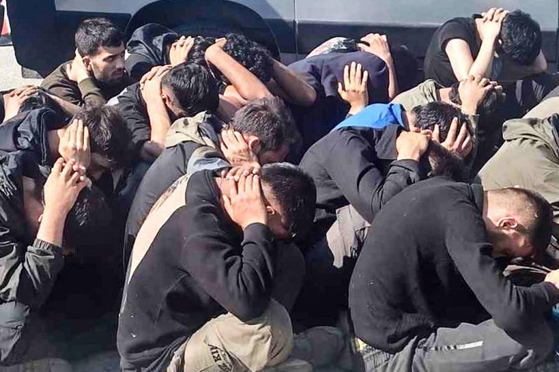 Под ръководството на Районна прокуратура – Видин се водят действия