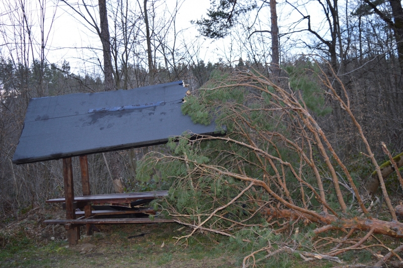 Големи поражения нанесе ураганният вятър и във Вършец съобщават от