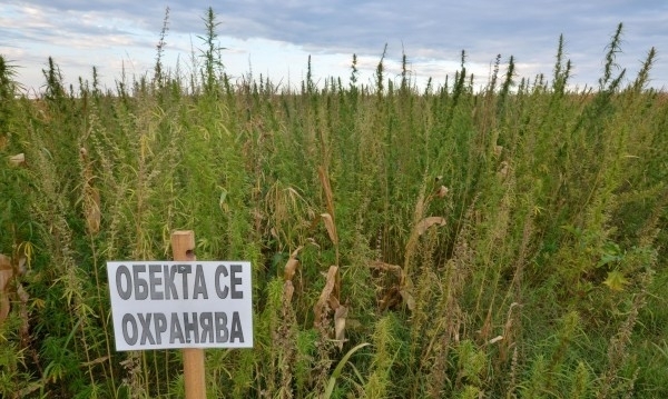 Инспекторът от Агенцията по безопасност на храните в Шумен К