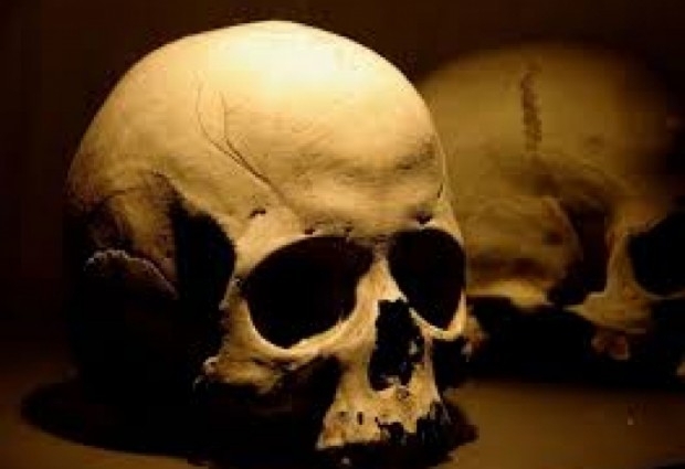 Част от човешки череп е намерена в жилище във Велико