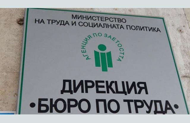 От дирекция Бюро по труда в Берковица обявиха свободните работни места
