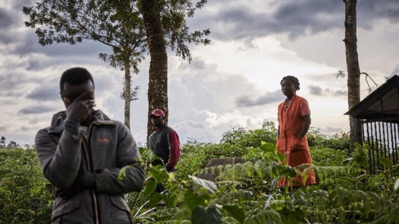 Броят на жертвите на епидемията от морбили в Демократична република