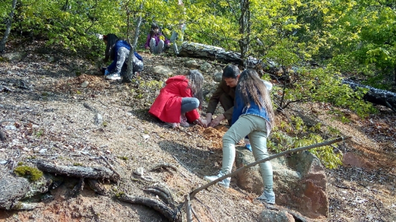 Акция по залесяване под наслов Лесовъд за един ден проведе
