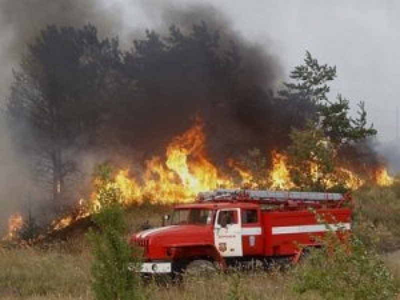 Над 3 000 декара пожари в сухи треви и храсти