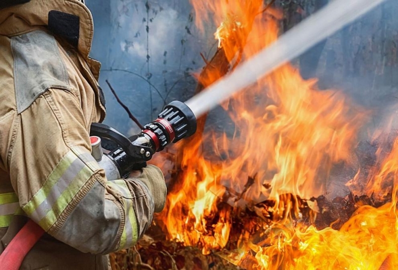 Три пожара са гасили огнеборците във Видинско за денонощие, съобщиха от областната