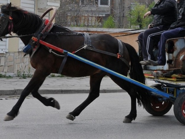 3 годишно момченце е настанено в МБАЛ Силистра с черепно мозъчна травма съобщиха
