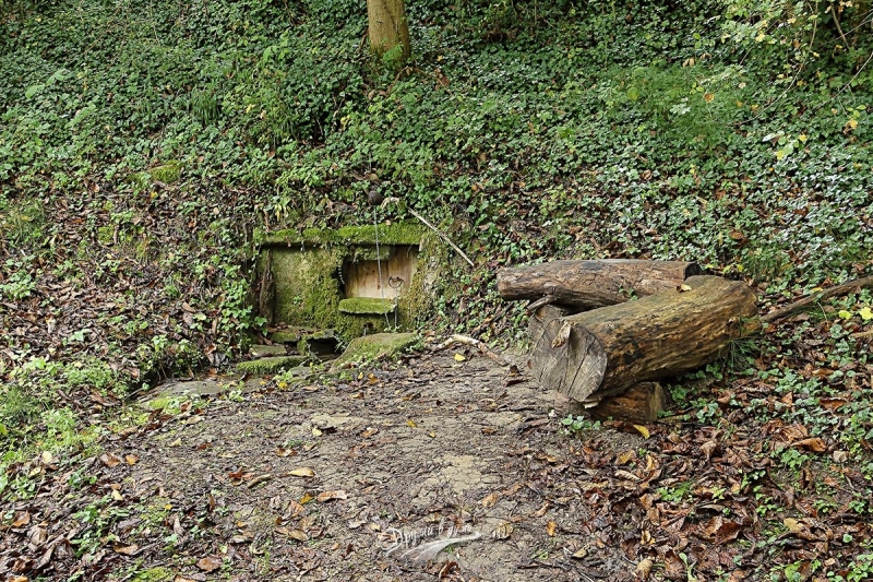 Светилищният комплекс Пещта в мездренското село Ослен Криводол вече е