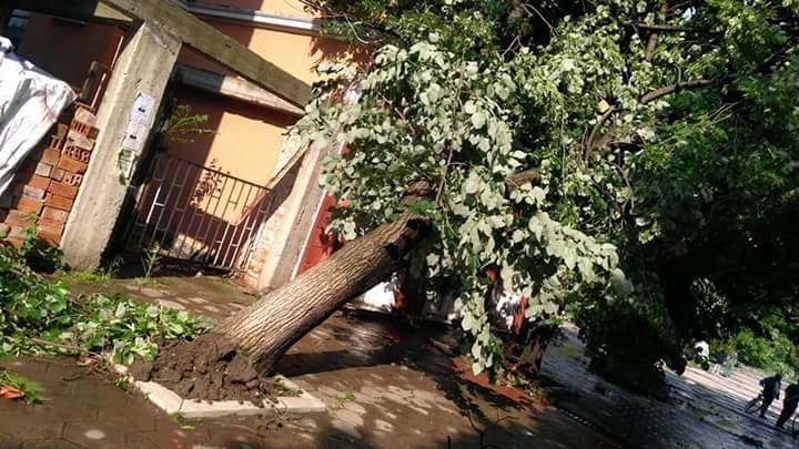 Остава в сила обявеното бедствено положение в община Бяла Слатина