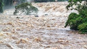 Гръцките власти издирват 69 годишен пастир който е в неизвестност след