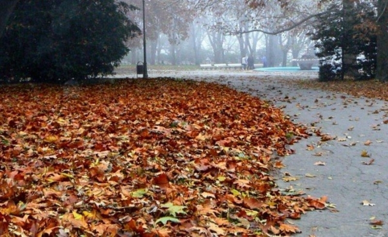 В неделя от запад увеличението на облачността ще продължи и