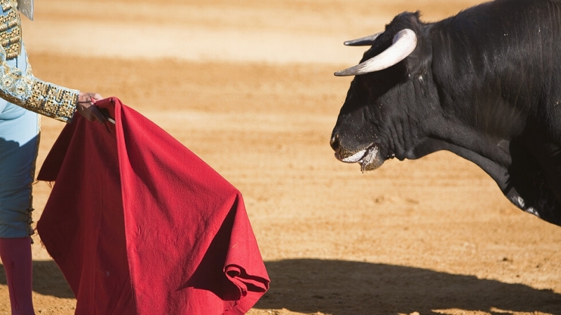 След 7 години неуспешни опити Конгресът на Колумбия забрани бикоборството Различни