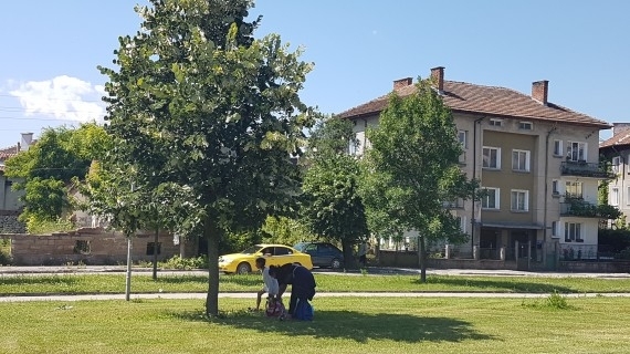 Кметът на Мездра Иван Аспарухов издаде заповед с която забранява