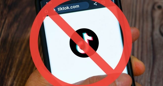 Албания забранява TikTok за една година