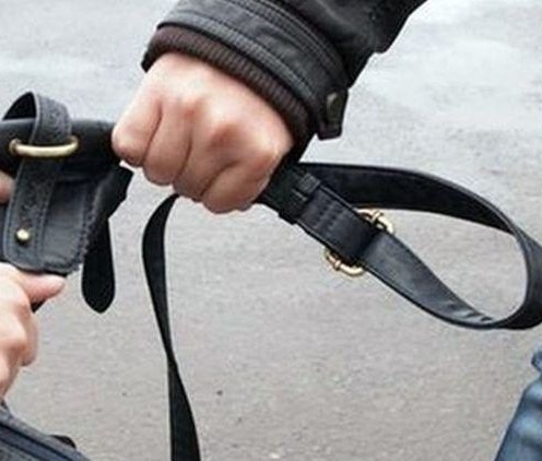 Наглец открадна чантичка с пари от дядо във Видин научи